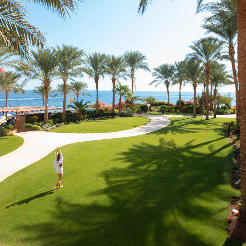 Stella Di Mare Beach Hotel and Spa Sharm El Sheikh Landscape