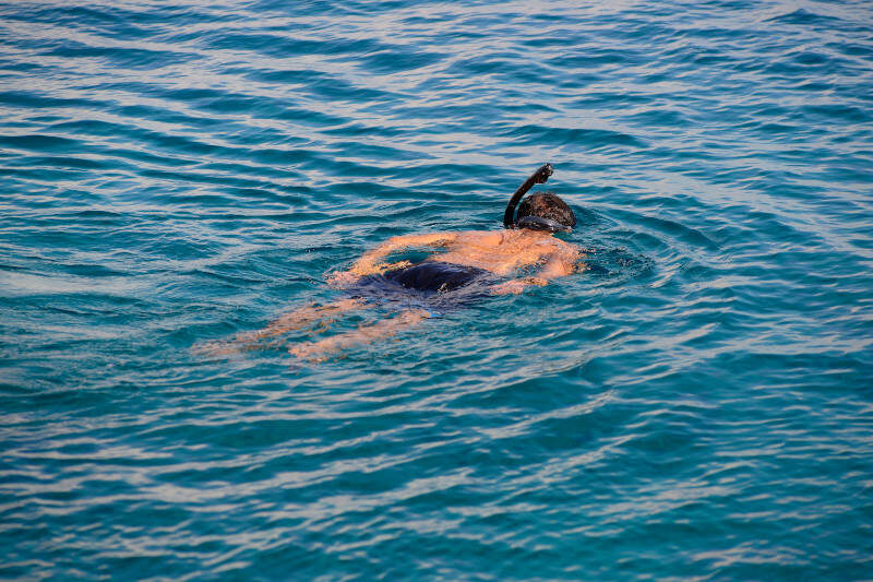 Stella Di Mare Beach Hotel and Spa Sharm El Sheikh Snorkeling